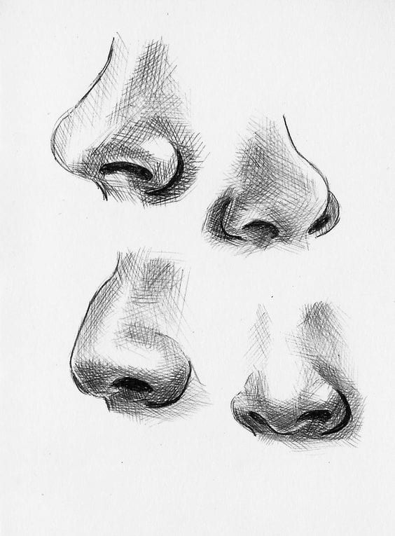 10 Amazing Nose Drawing Tutorials & Ideas - Brighter Craft | Nose drawing, Art sketches, Drawings