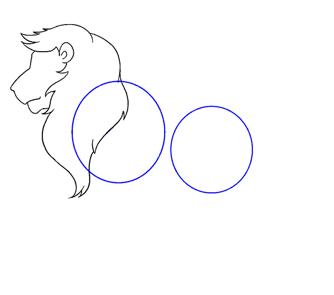 Cách vẽ Lion: Bước 10