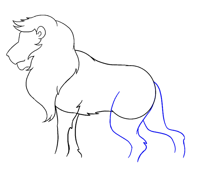 Cách vẽ Lion: Bước 14