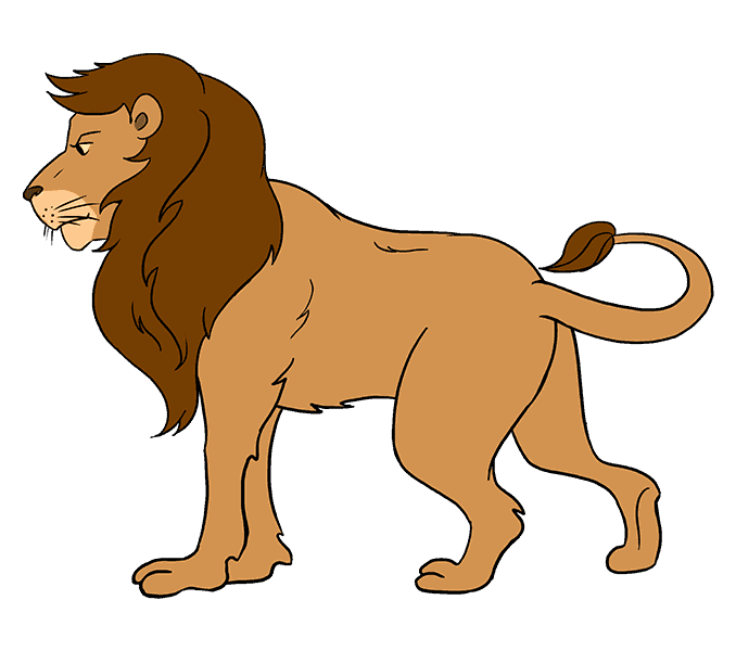 Cách vẽ Lion: Bước 20
