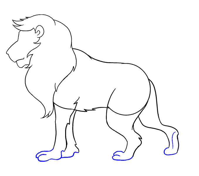 Cách vẽ Lion: Bước 15