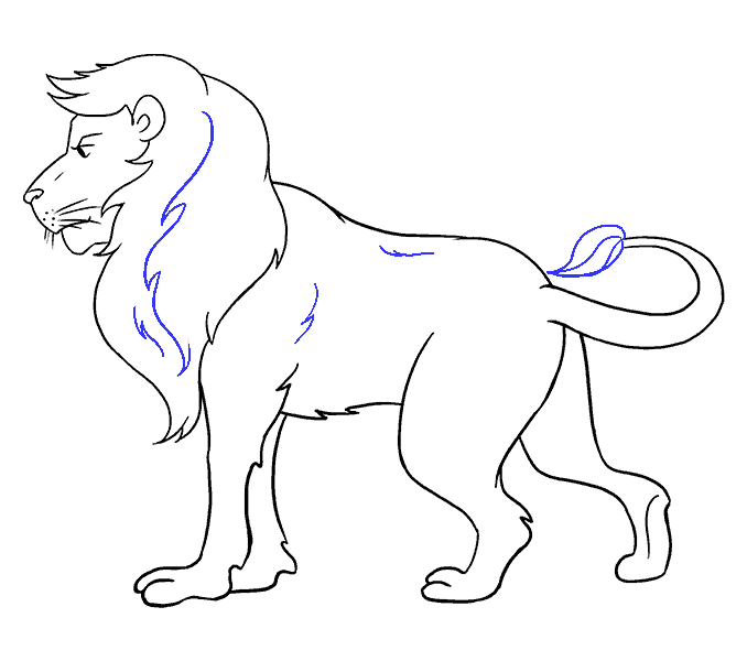 Cách vẽ Lion: Bước 19
