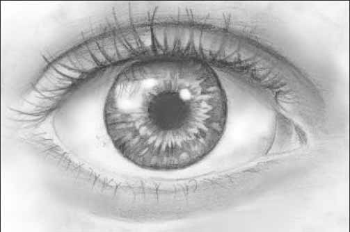 Đôi mắt là cửa sổ tâm hồn
