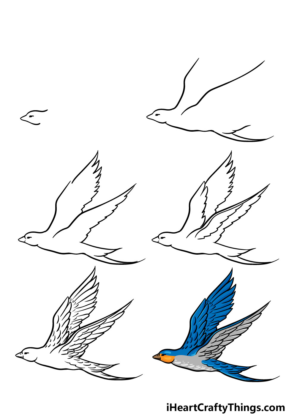 Hướng Dẫn Cách Vẽ Con Chim Dễ Nhất Chi Tiết Từ A-Z