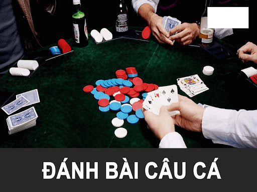 Hướng dẫn cách chơi game đánh bài câu cá để tăng cơ hội chiến thắng