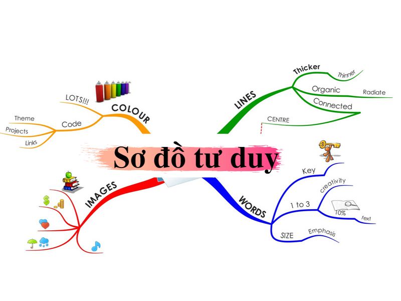 Bản đồ tư duy là gì? Cách vẽ sơ đồ tư duy hiệu quả