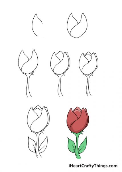Hướng Dẫn Cách Vẽ Hoa Tulip Dễ Nhất Chi Tiết Từ A-Z
